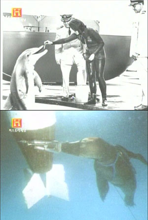 ŬϽø     ֽϴ.