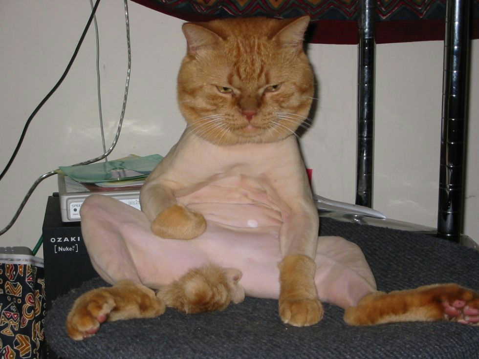 ŬϽø     ֽϴ.